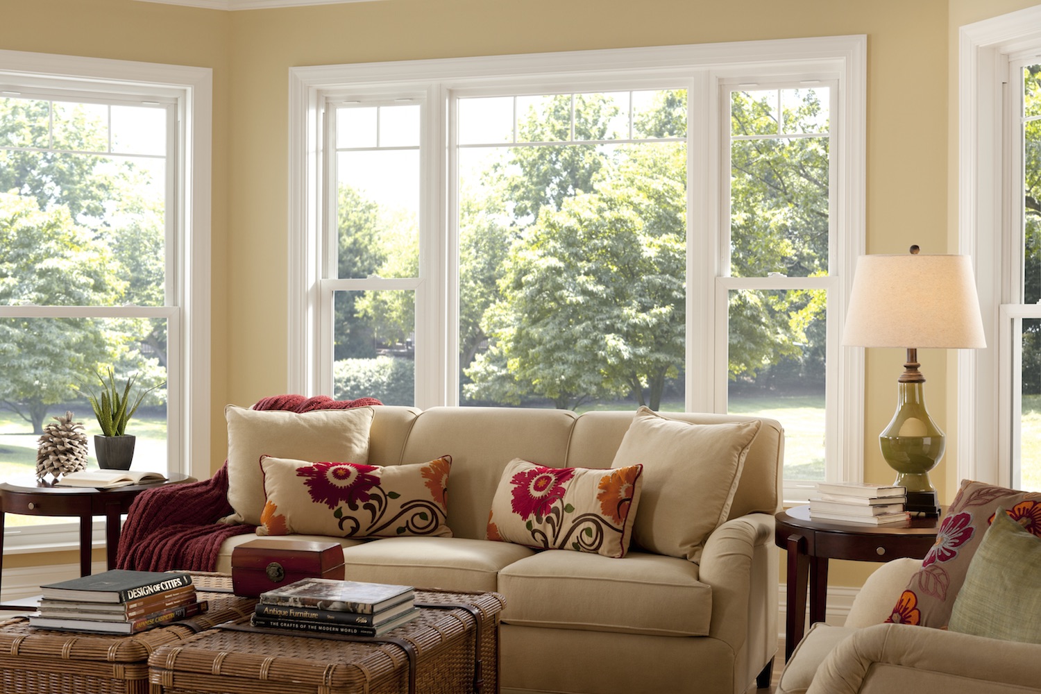 Picture and Double Hung Window