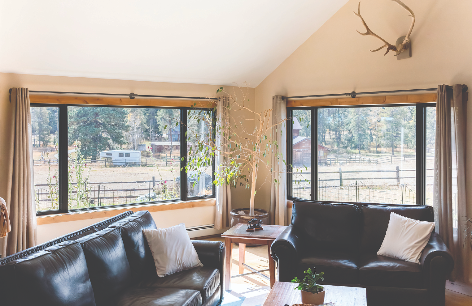 Picture Window Ideas